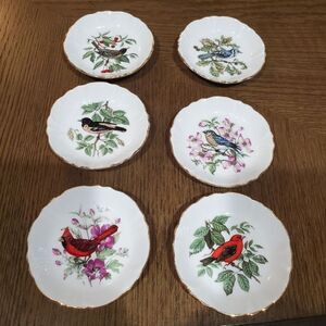 Set of 6 Vintage Royal Windsor Fine Bone China Bird Dishes